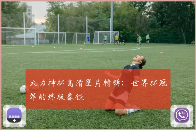大力神杯高清图片特辑：世界杯冠军的终极象征