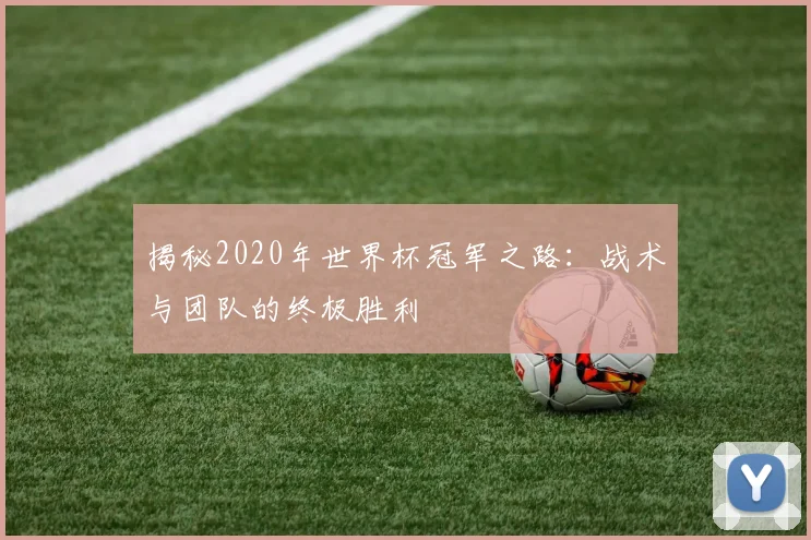 揭秘2020年世界杯冠军之路：战术与团队的终极胜利