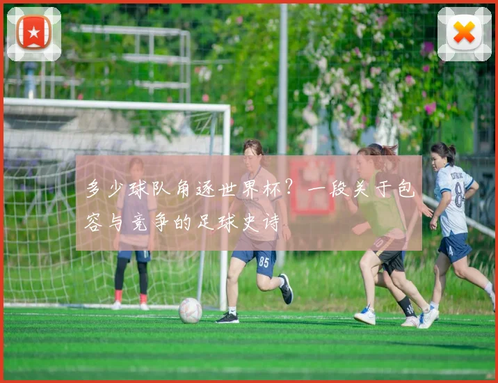 多少球队角逐世界杯？一段关于包容与竞争的足球史诗