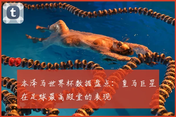 本泽马世界杯数据盘点：皇马巨星在足球最高殿堂的表现