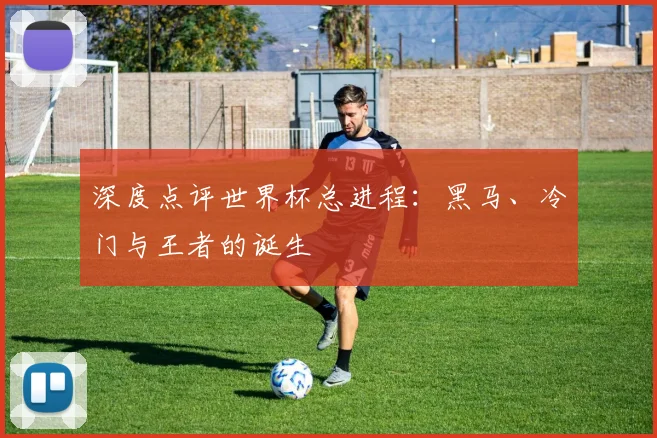 深度点评世界杯总进程：黑马、冷门与王者的诞生