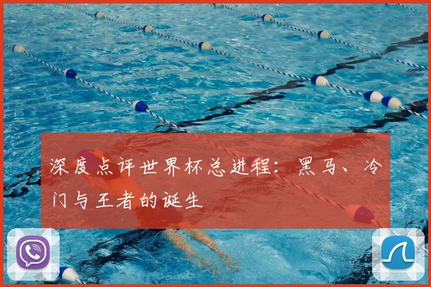 深度点评世界杯总进程：黑马、冷门与王者的诞生
