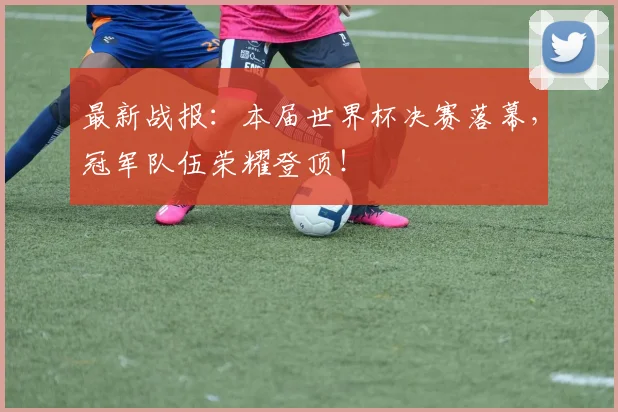 最新战报：本届世界杯决赛落幕，冠军队伍荣耀登顶！