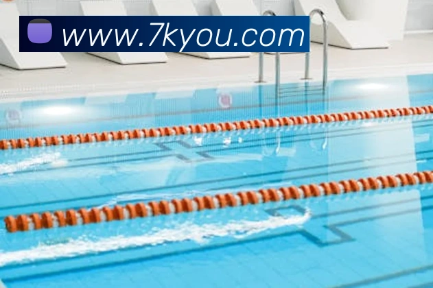 开云在线登录入口官网平台生态图